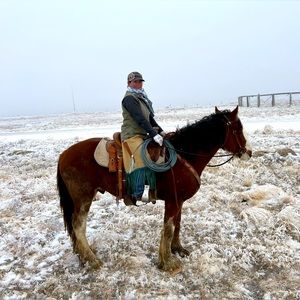 Meet your Posher, Ariane